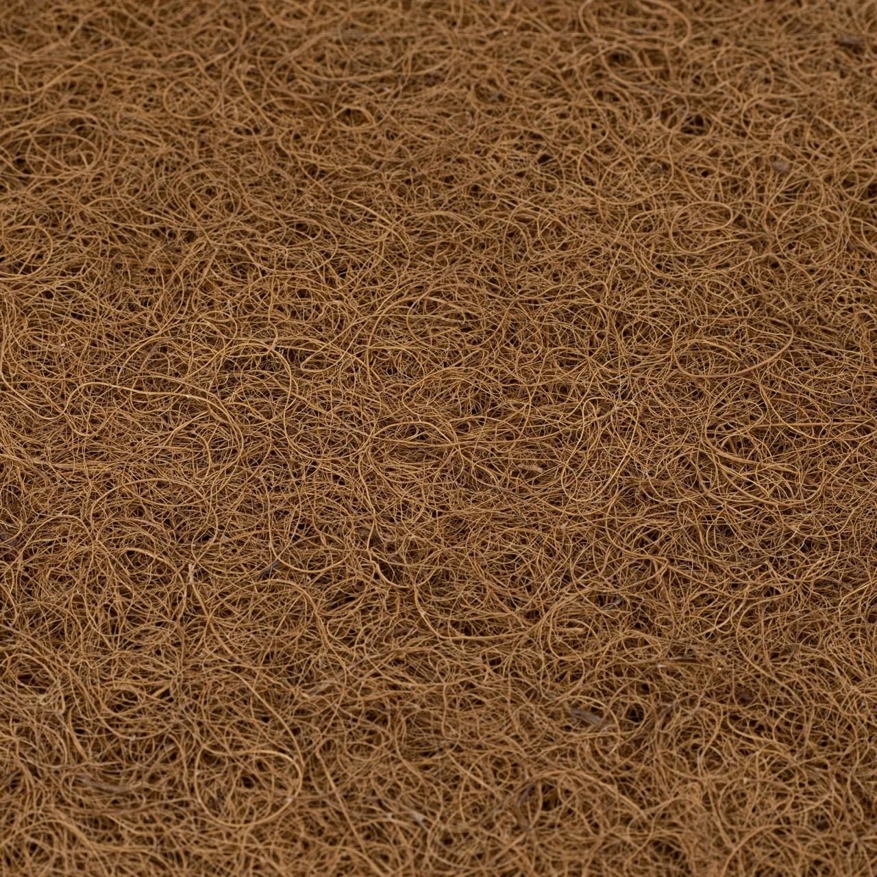 Babybay Matratze Natural Passend Für Modell Original 6 Babybay Matratze Natural Passend Für Modell Original – Bild 4